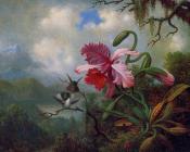 Orchid and Hummingbirds near a Mountain Lake - 马丁·约翰逊·赫德